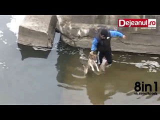 dog expresses his happiness and gratitude after being rescued